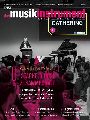 Das Musikinstrument